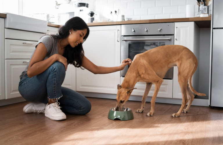How to Choose the Right Premium Dog Food for Your Breed