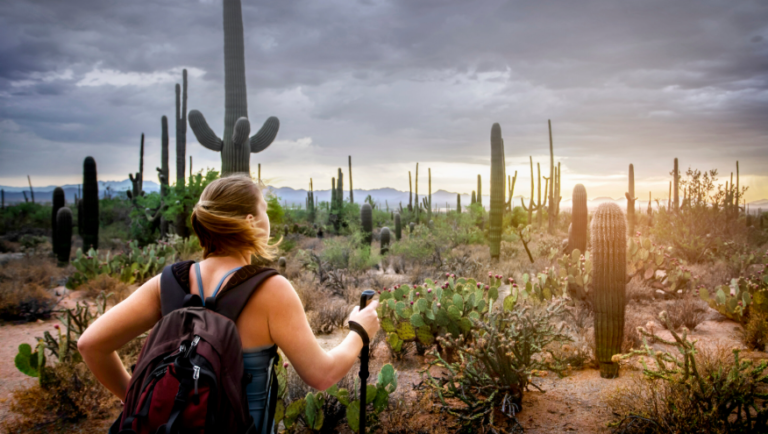 Why Nature Trips Are the Ultimate Wellness Boosters