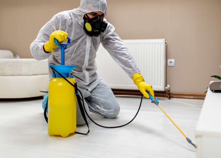Bird Removal Service Near Me Fast and Effective Solutions for Home and Business