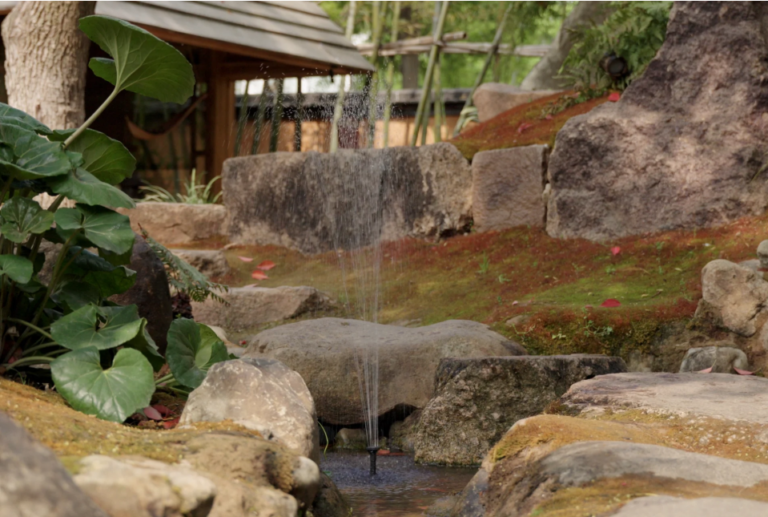 The Ultimate Guide to Solar Water Fountain Pumps