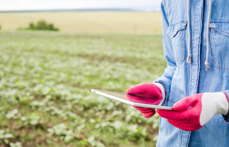 Detect, Diagnose, Defend: A Guide to Crop Health Monitoring