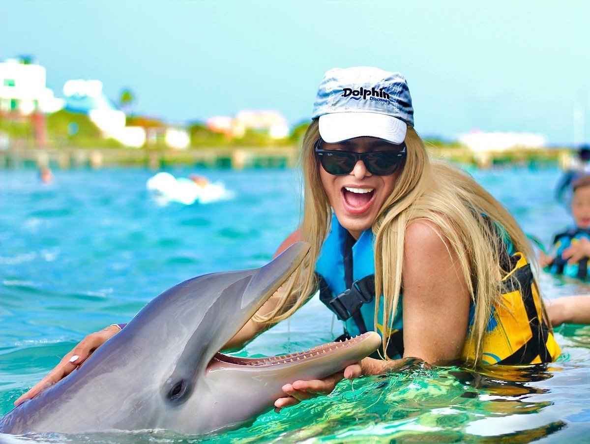 Unforgettable Marine Adventures: Experiencing the World of Dolphins