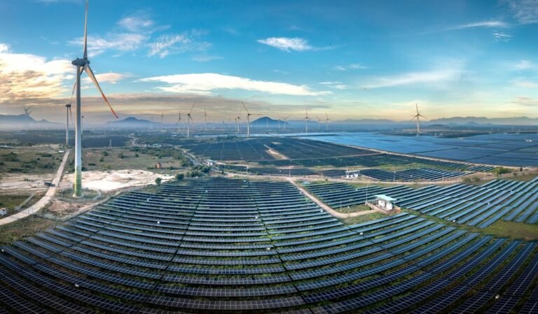 innovation driven business growth