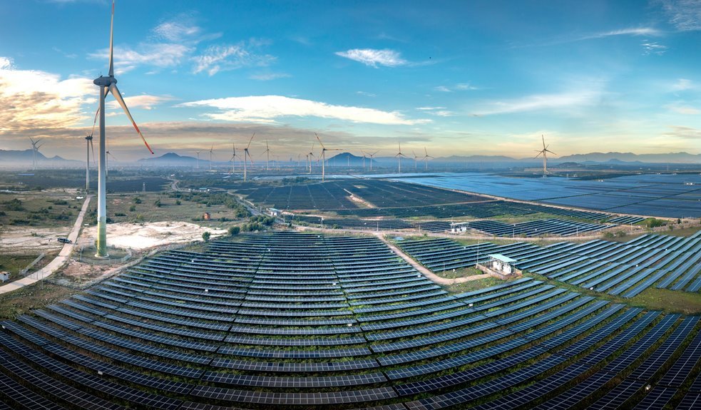 innovation driven business growth